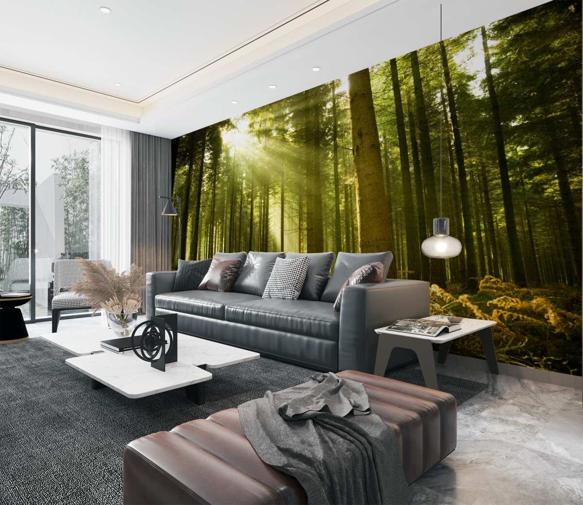 Fototapeta las oświetlają promienie słońca