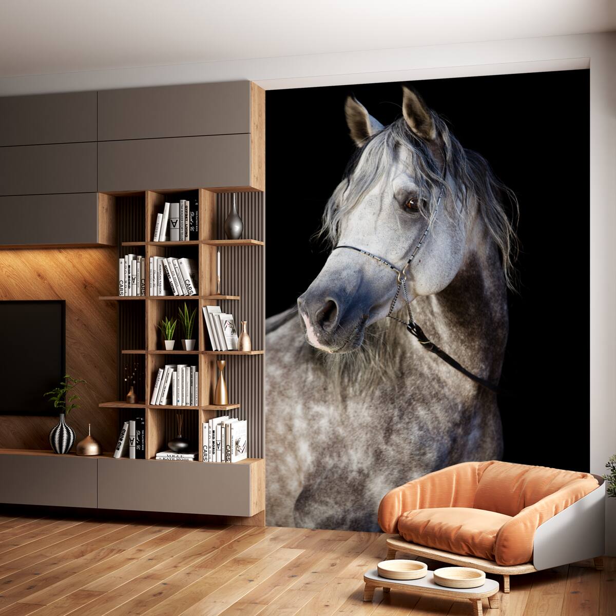 Fototapeta piękny profil konia na czarnym tle