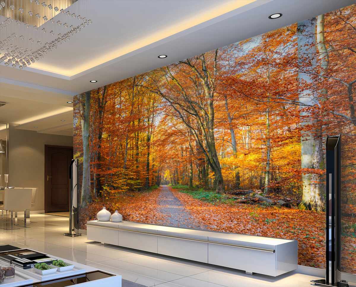 Fototapeta powalone jesienne drzewa