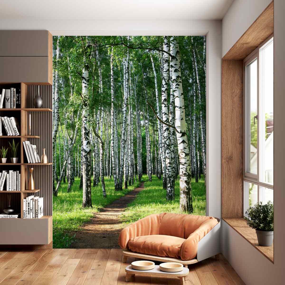 Fototapeta ścieżka prowadząca do lasu brzozowego