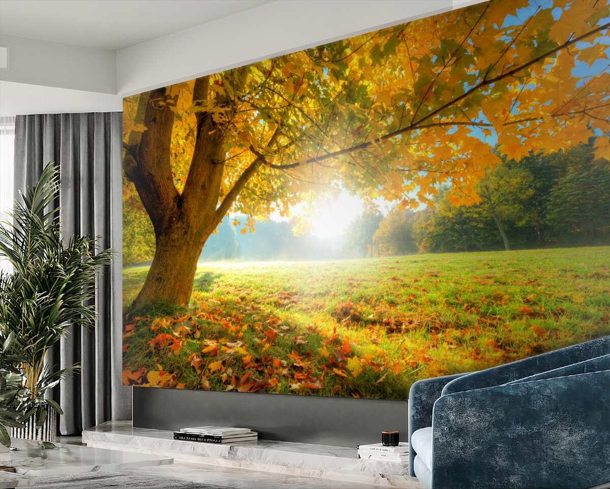 Fototapeta słońce w jesiennym lesie