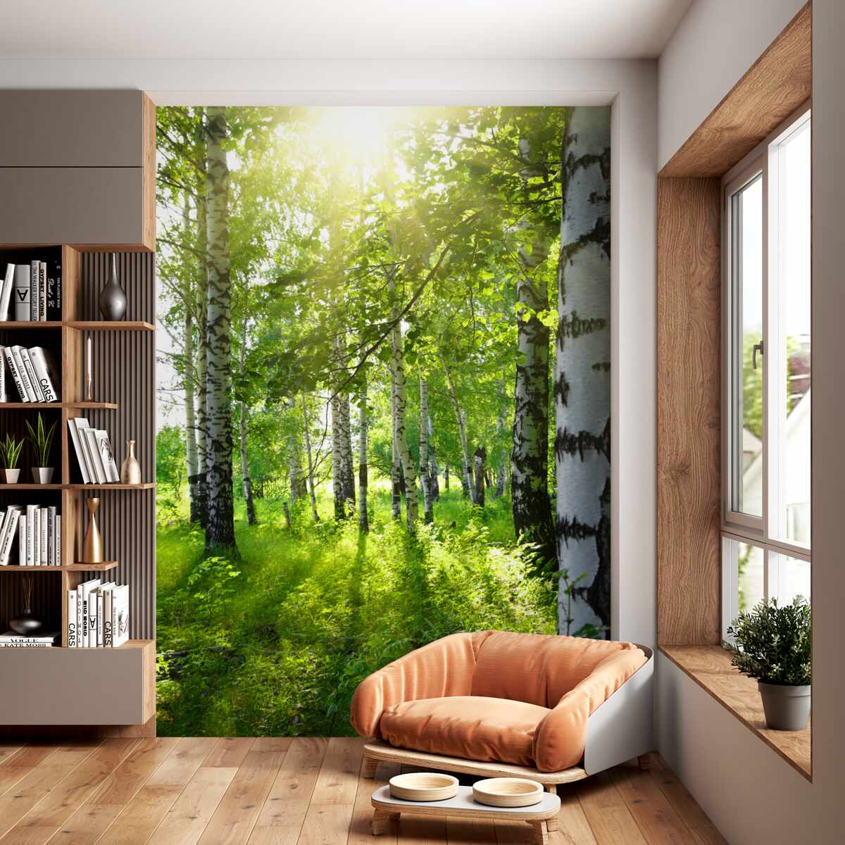 Fototapeta promienie słoneczne w lesie brzozowym