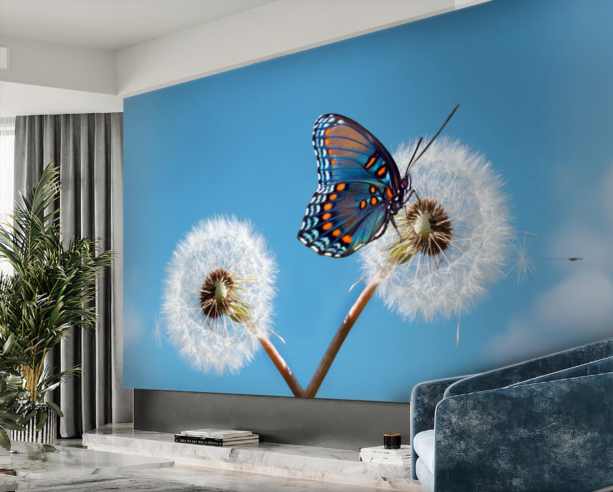 Fototapeta Motyl na wyblakłym mniszku lekarskim