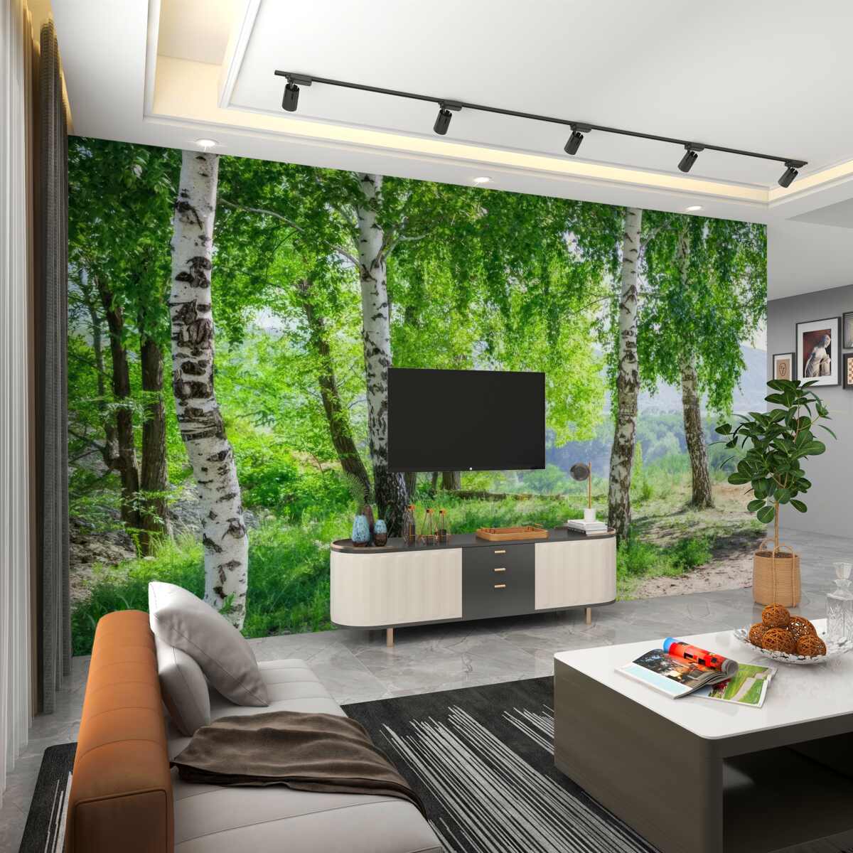 Fototapeta Zielony las brzozowy