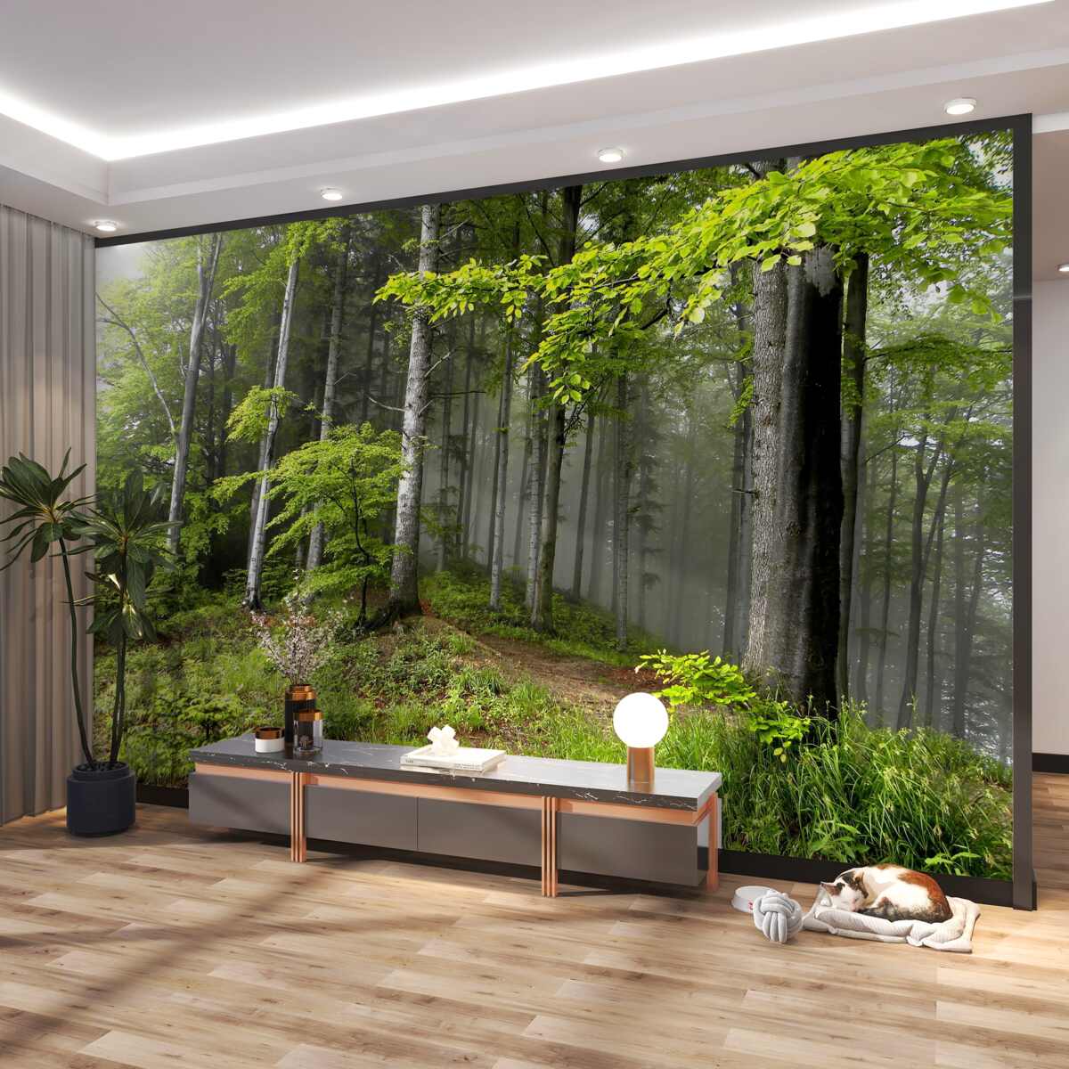 Fototapeta Liściasty mglisty las