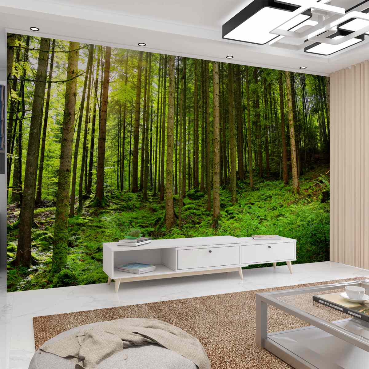 Fototapeta Promienie słońca przebijają las