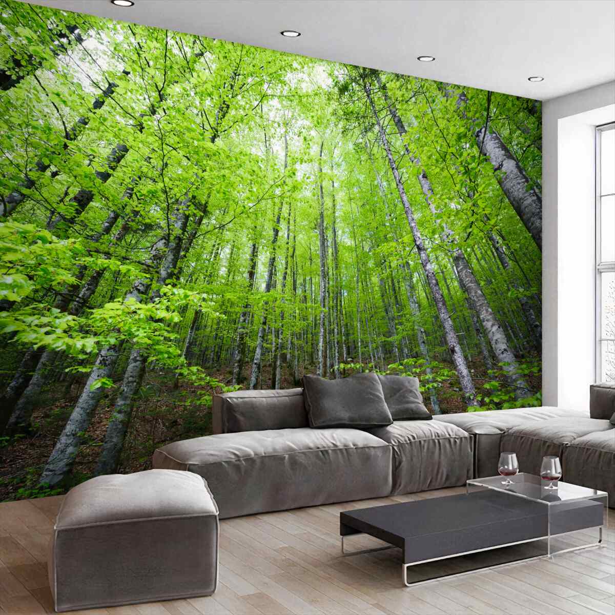 Fototapeta Jasnozielone korony leśne