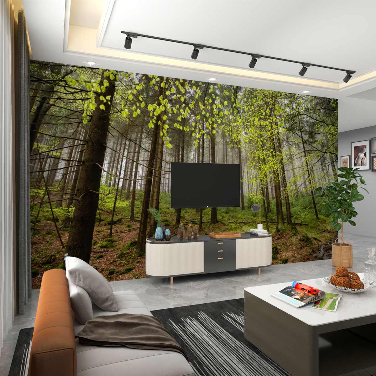 Fototapeta Zielony las po deszczu