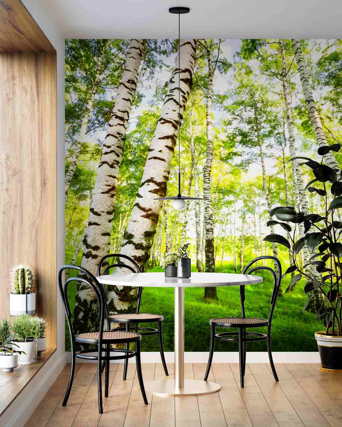 Fototapeta Cienka brzozowa lato