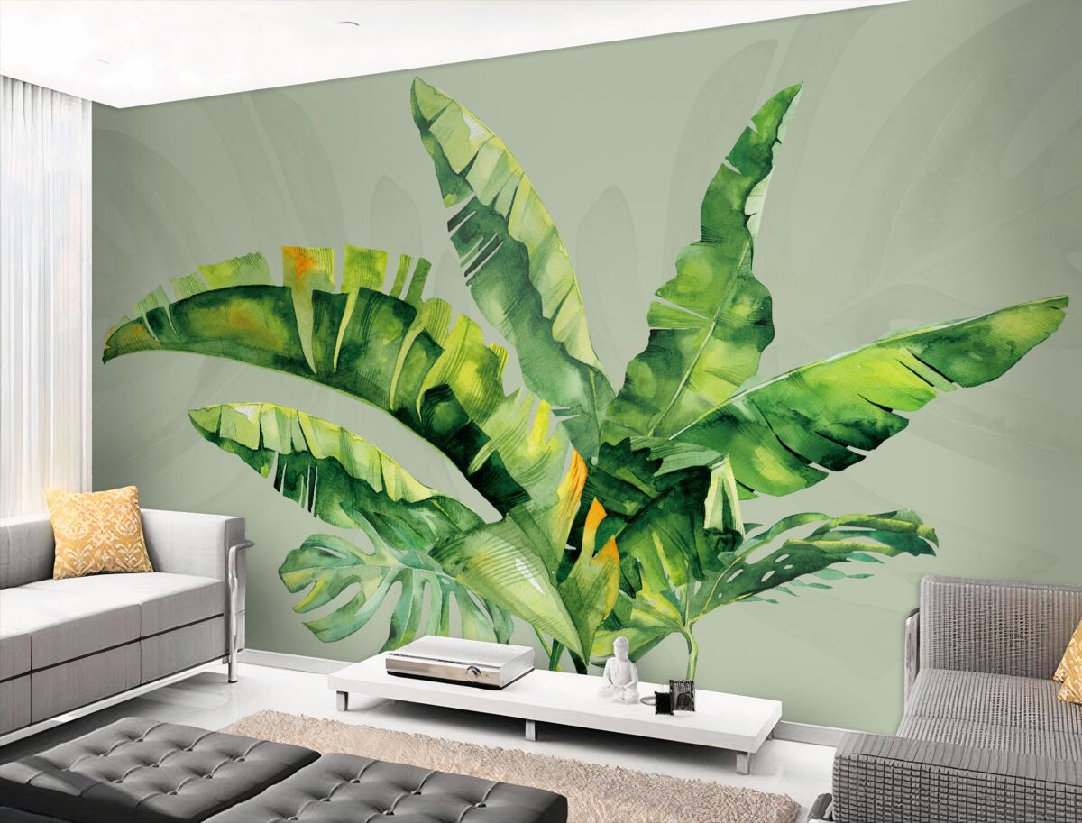 Fototapeta Zielona paproć i monstera