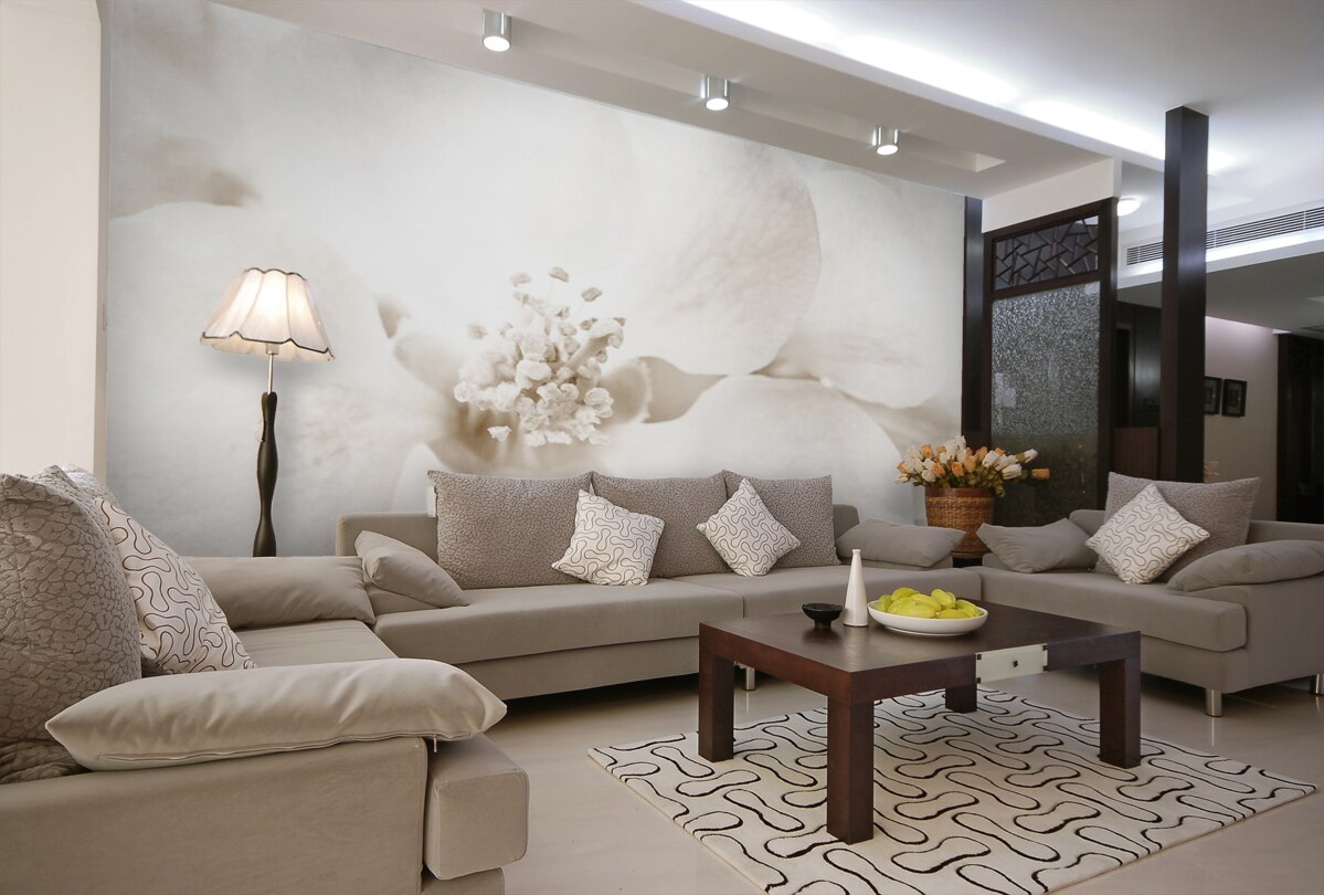 Fototapeta Duże delikatne pąki orchidei