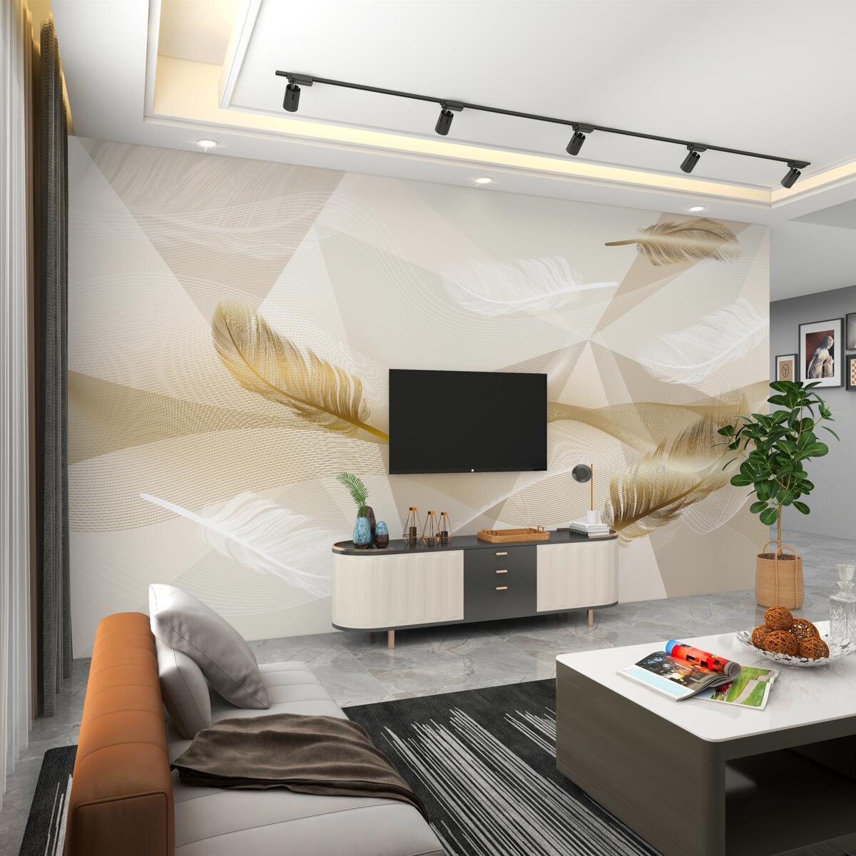 Fototapeta Pływające pióra i geometria