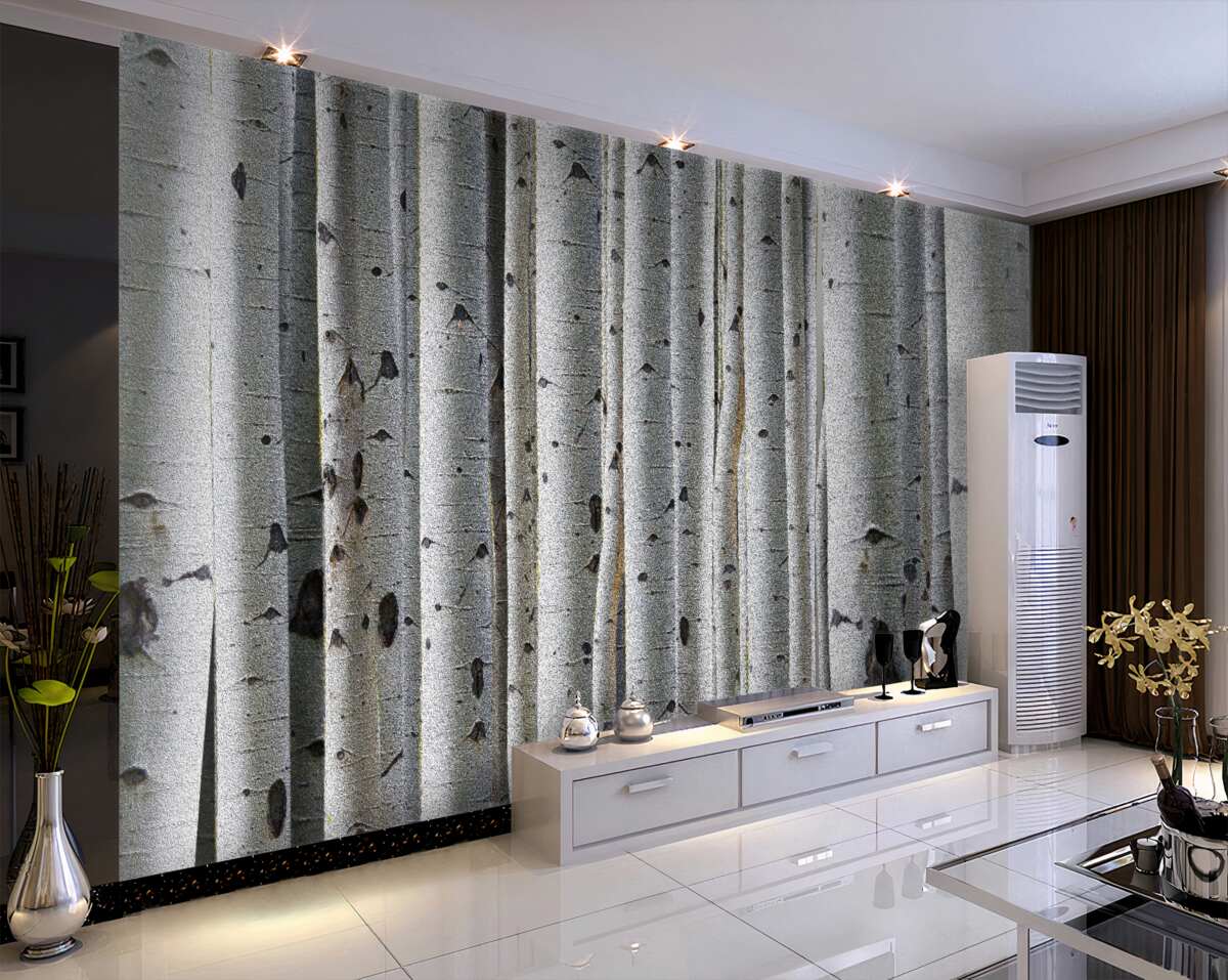 Fototapeta Gaj Brzozowy