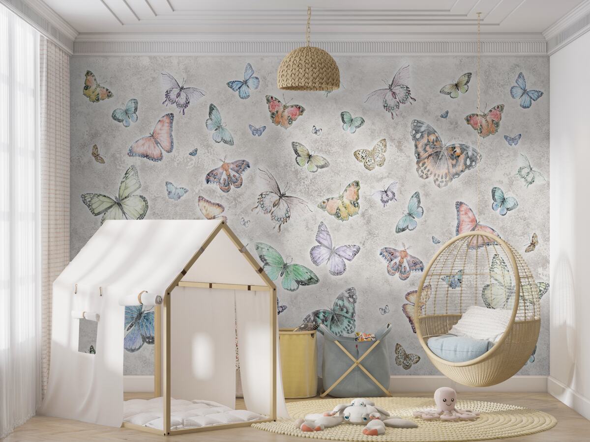 Fototapeta Jasne motyle na szarym tle