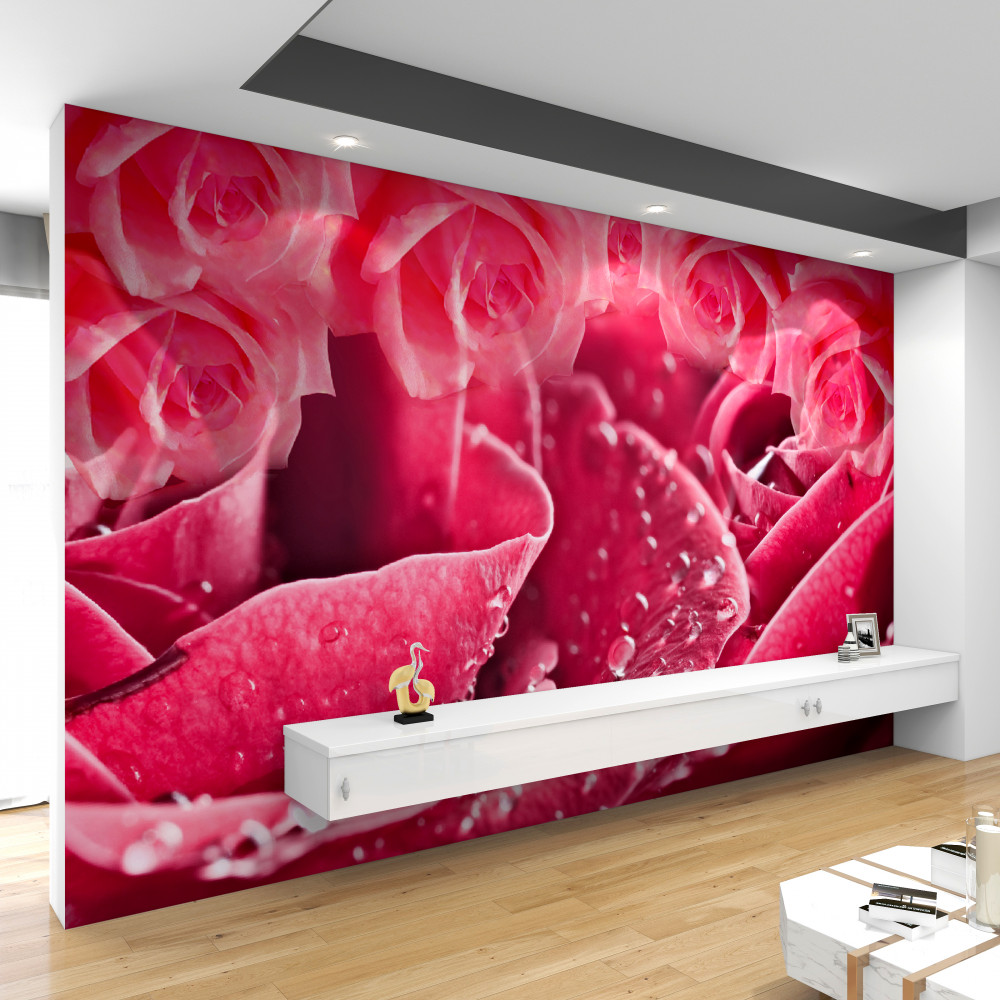 Fototapeta wzrosła w kroplach rosy