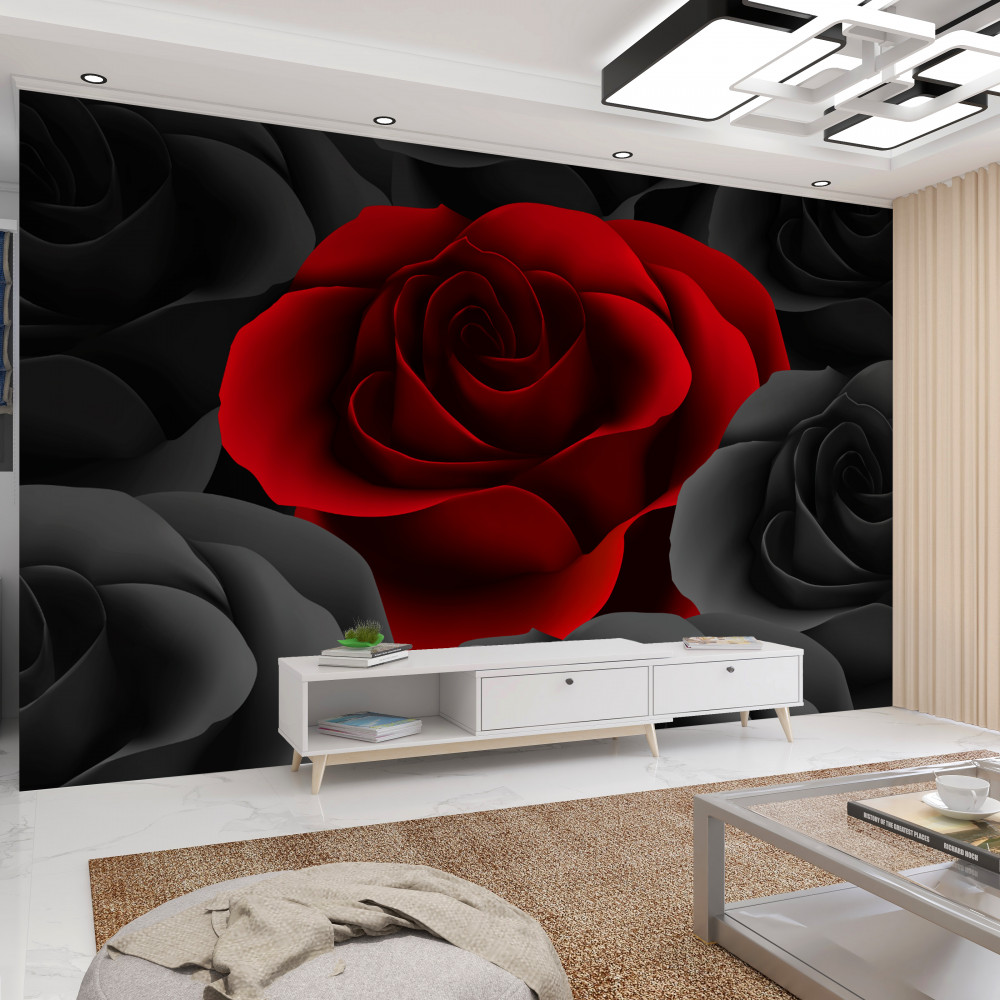 Fototapeta jasna róża wśród szarości