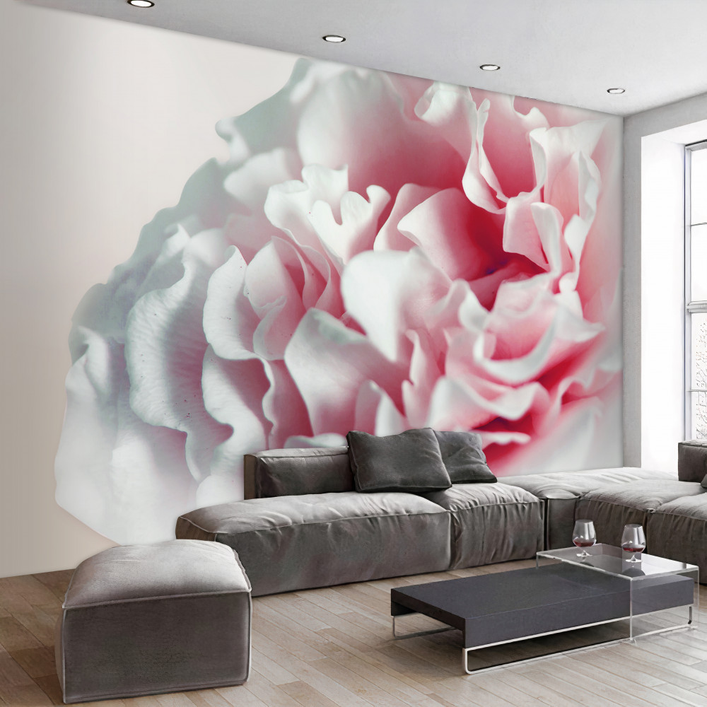 Fototapeta delikatny różowy kwiat