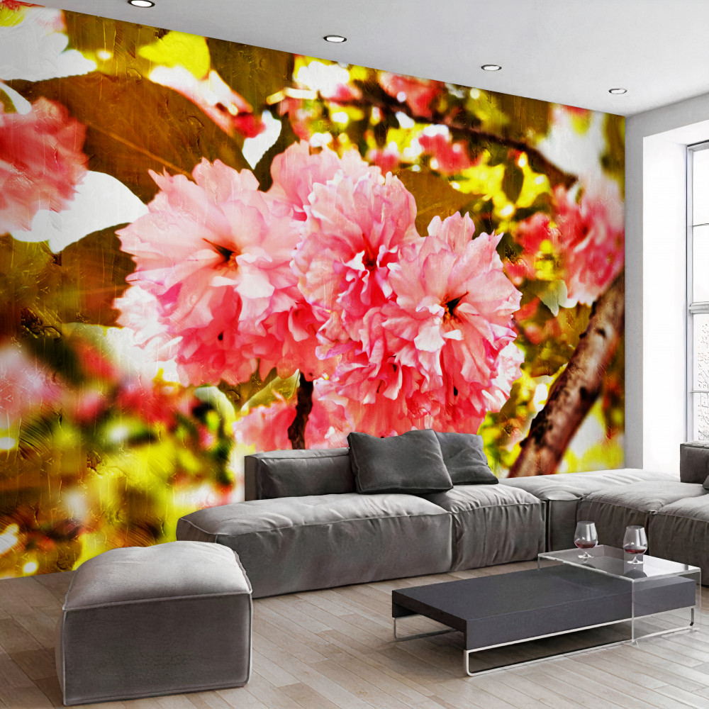 Fototapeta kwiaty wiśni kanzan