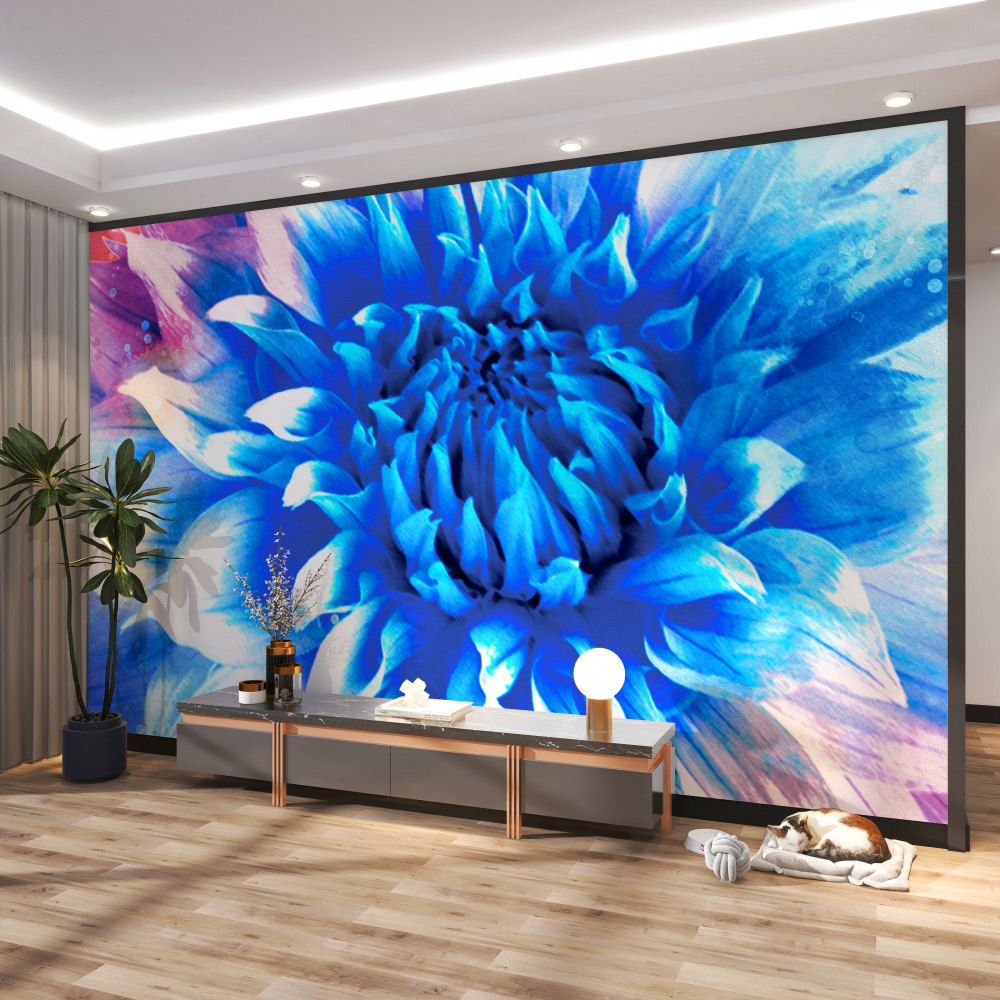 Fototapeta jasny niebieski aster