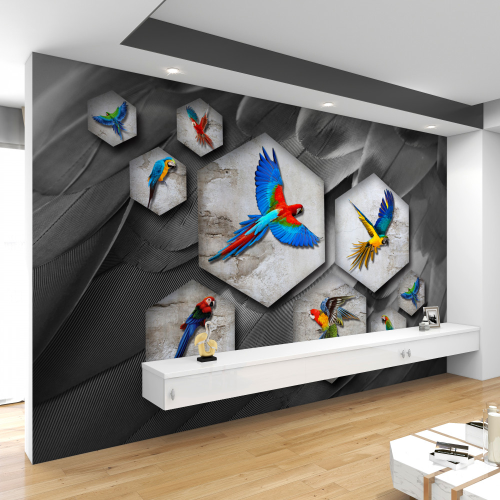 Fototapeta różne rodzaje jasnych papug