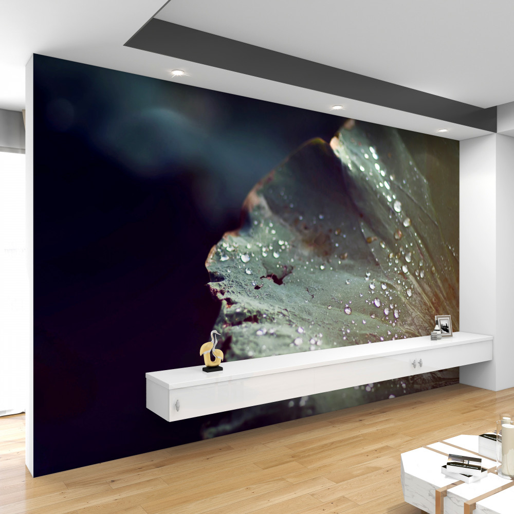 Fototapeta krople porannej rosy na liściu