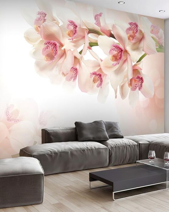 Fototapeta orchidea różowa