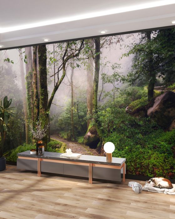 Fototapeta ścieżka przez mglisty zielony las
