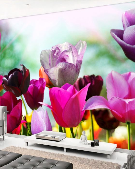 Fototapeta kolorowe tulipany