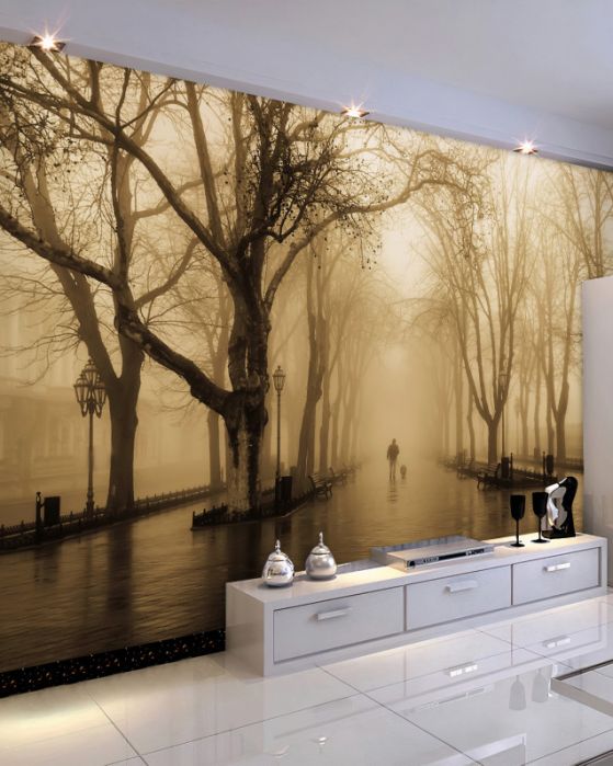 Fototapeta mgła i deszcz na podjeździe