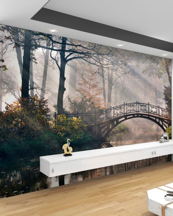 Fototapeta most i jego odbicie w wodzie lasu