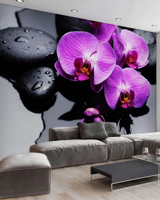 Fototapeta fioletowe orchidee na wodzie w pobliżu kamieni