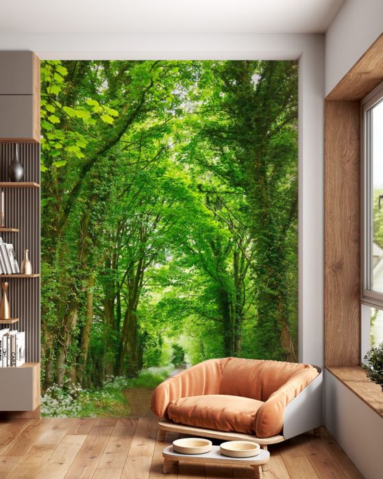 Fototapeta łuki zielonych drzew nad drogą