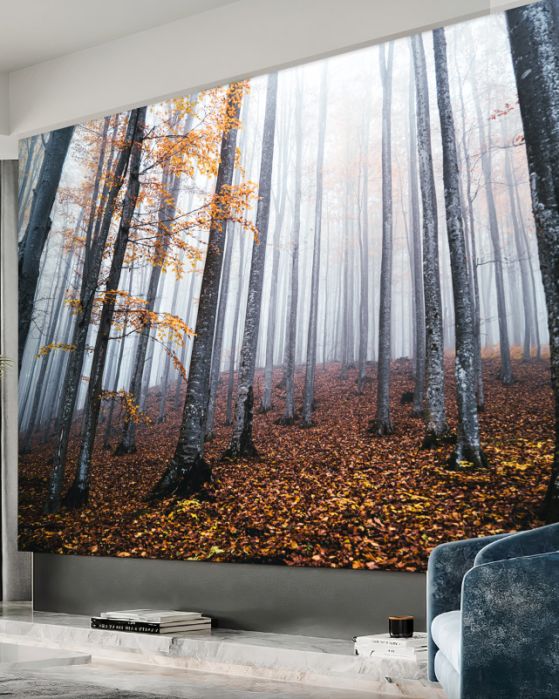 Fototapeta mgła w smukłym jesiennym lesie