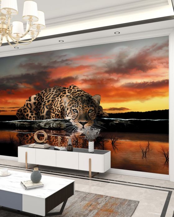 Fototapeta gepard o zachodzie słońca nad wodą