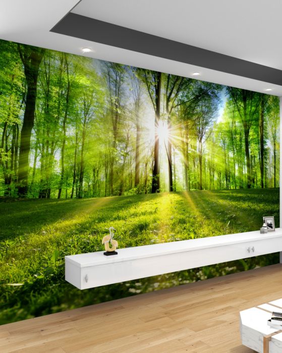 Fototapeta wschód słońca w zielonym lesie