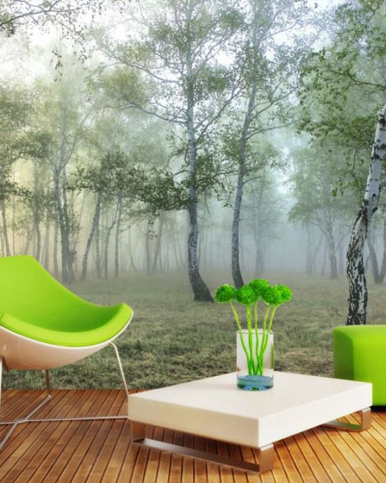 Fototapeta Zielony, Natura i naturalny krajobraz