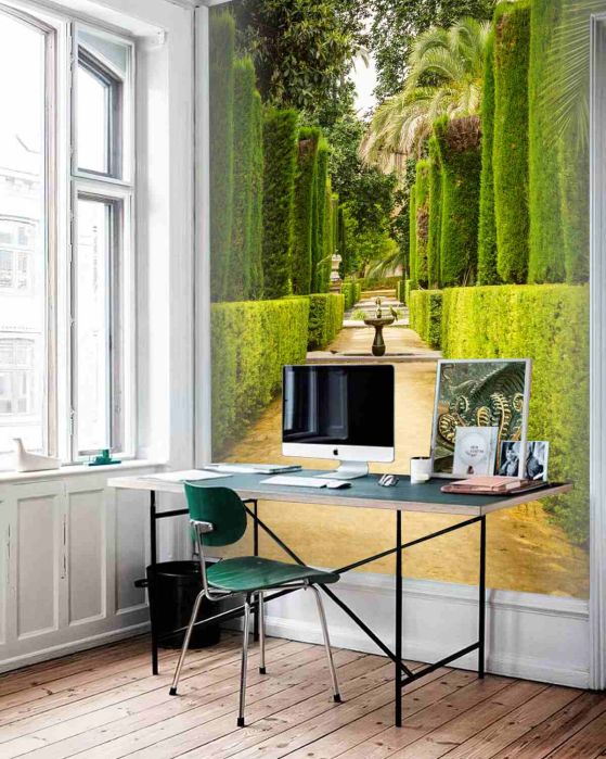Fototapeta ścieżka wśród topiary cyprysów