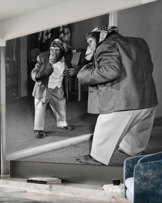 Fototapeta małpa w kostiumie przed lustrem