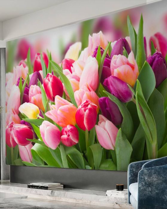Fototapeta kolorowe wiosenne tulipany z zielenią