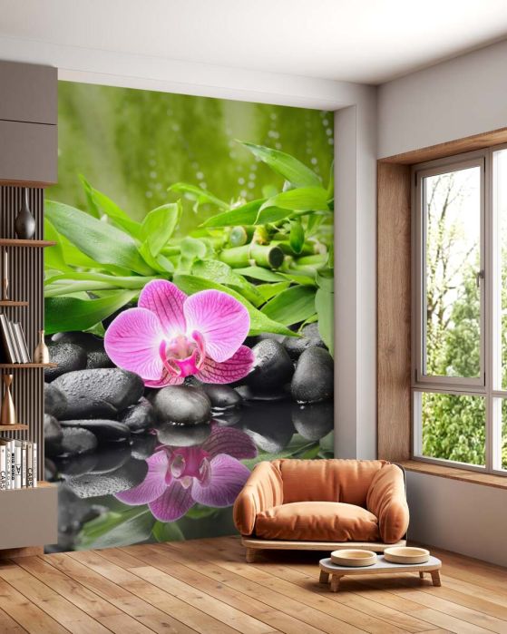 Fototapeta piękna orchidea na czarnym kamieniu w pobliżu wody