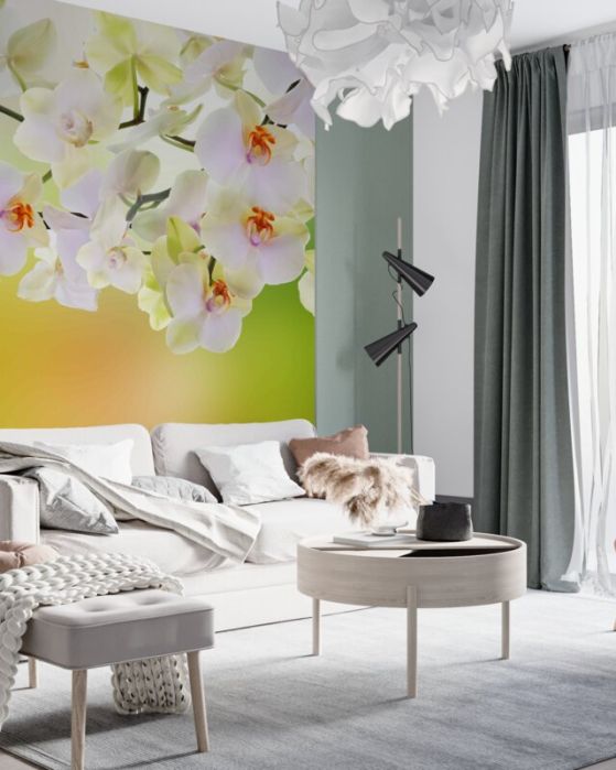 Fototapeta białe pąki i kwiaty orchidei na gałęziach