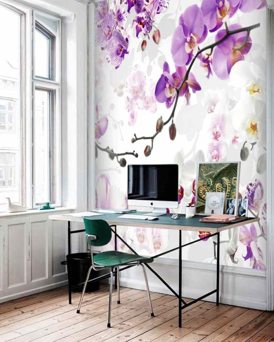 Fototapeta gałąź z kwitnącymi fioletowymi orchideami