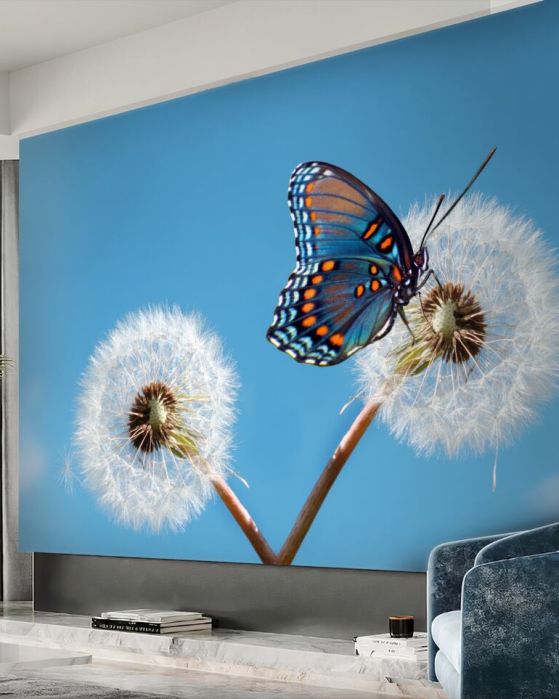 Fototapeta Motyl na wyblakłym mniszku lekarskim