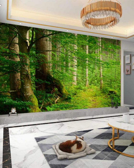 Fototapeta Gęsty letni las w zieleni