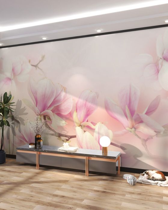 Fototapeta Młode różowe magnolias