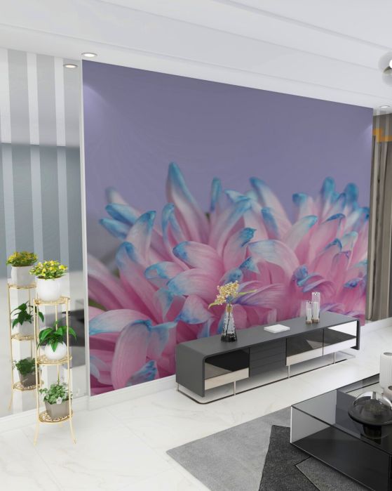 Fototapeta Astra Pink z niebieskimi krawędziami