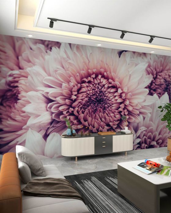 Fototapeta Wielki Bud Pink Aster