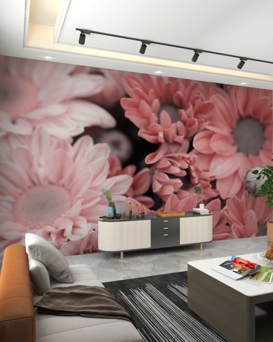 Fototapeta Delikatna lekka makrosema Gerbera