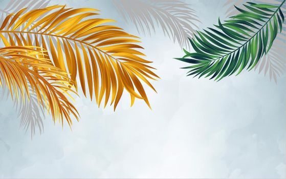Fototapeta palmowe kolorowe