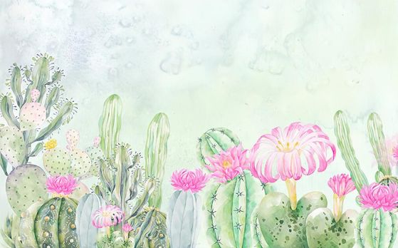 Fototapeta cactus fioletowy